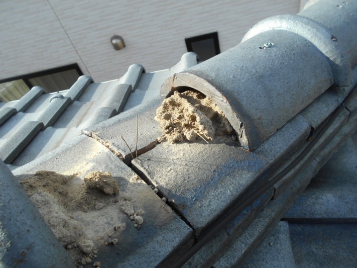 新潟市西区棟瓦被害