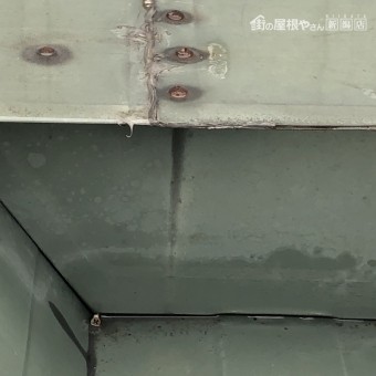 雨漏り箇所