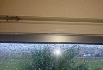 内雨漏れ 水滴 サッシ廻り
