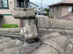 天井雨漏れし現地調査