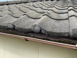 天井雨漏れし現地調査