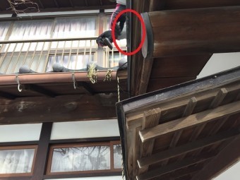 ガルバリウム鋼板 横葺き ケラバ加工