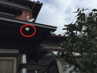 玄関 雨樋 丸垂木