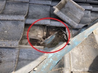 新潟市東区 雨漏り 下葺き材 塗れ