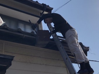 軒樋草取り工事