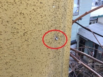 でんでん 外壁 穴