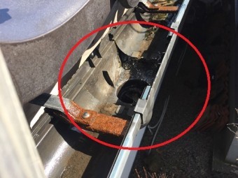 集水器 軒樋 仮掃除