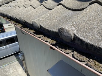下屋雨漏れ葺き直し事例
