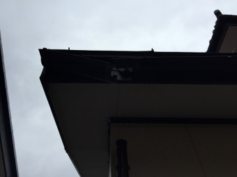 新潟市秋葉区 雨樋落下 軒樋 現地確認