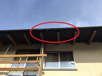 雨樋から雨水が滴る現場