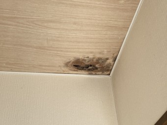 天井雨漏れ部下地ボード・クロス貼り替え工事