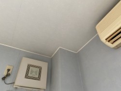 天井雨漏れ部下地ボード・クロス貼り替え工事
