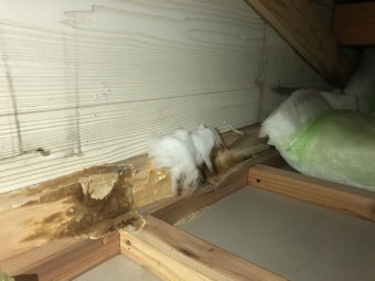 社屋雨漏り