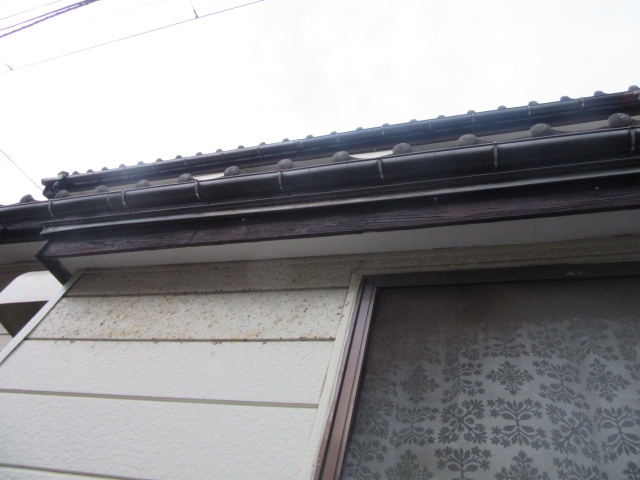 新潟市北区にて下屋の軒樋に草が生えていることから現地調査してきました