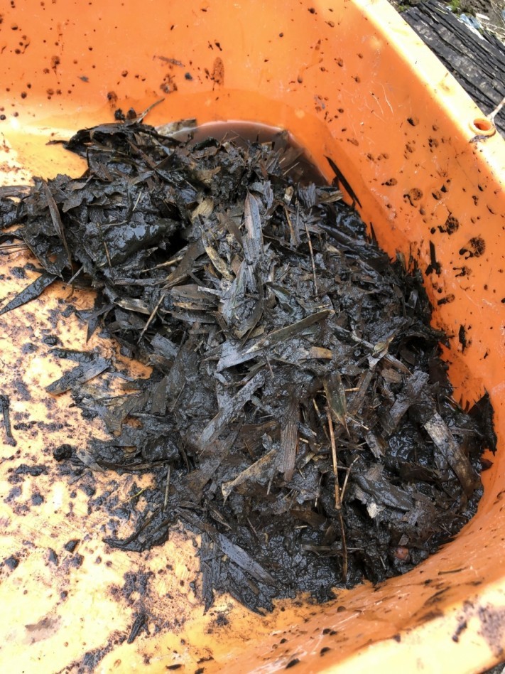 雨樋清掃