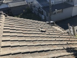 雨漏れ被害によって葺き直し工事事例