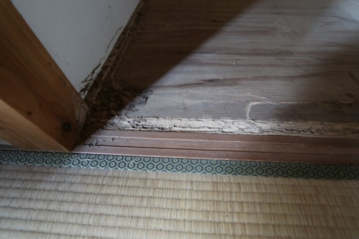 リノベーション現地調査シロアリ害