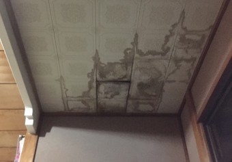 天井 染み 張り替え