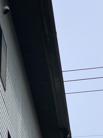 軒樋から雨漏れ発生