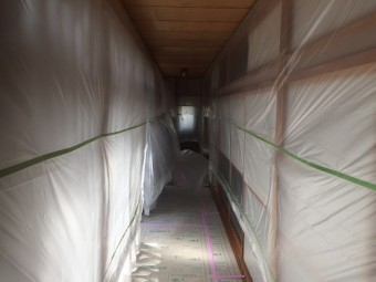 室内養生 途中