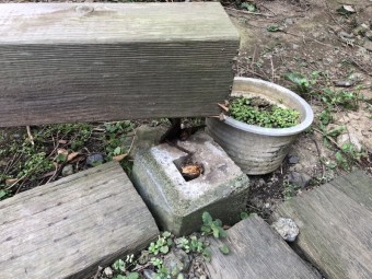 風害によって木塀が倒れたため撤去作業
