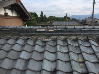 一階本棟 伸瓦 外れ
