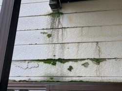外壁雨漏れ修繕工事