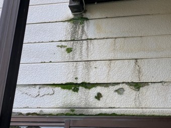 1階窓サッシより雨漏れ発生し現地調査