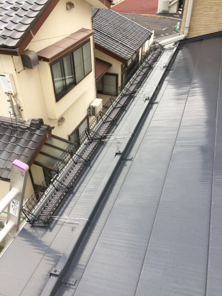 新潟市中央区 落雪予防