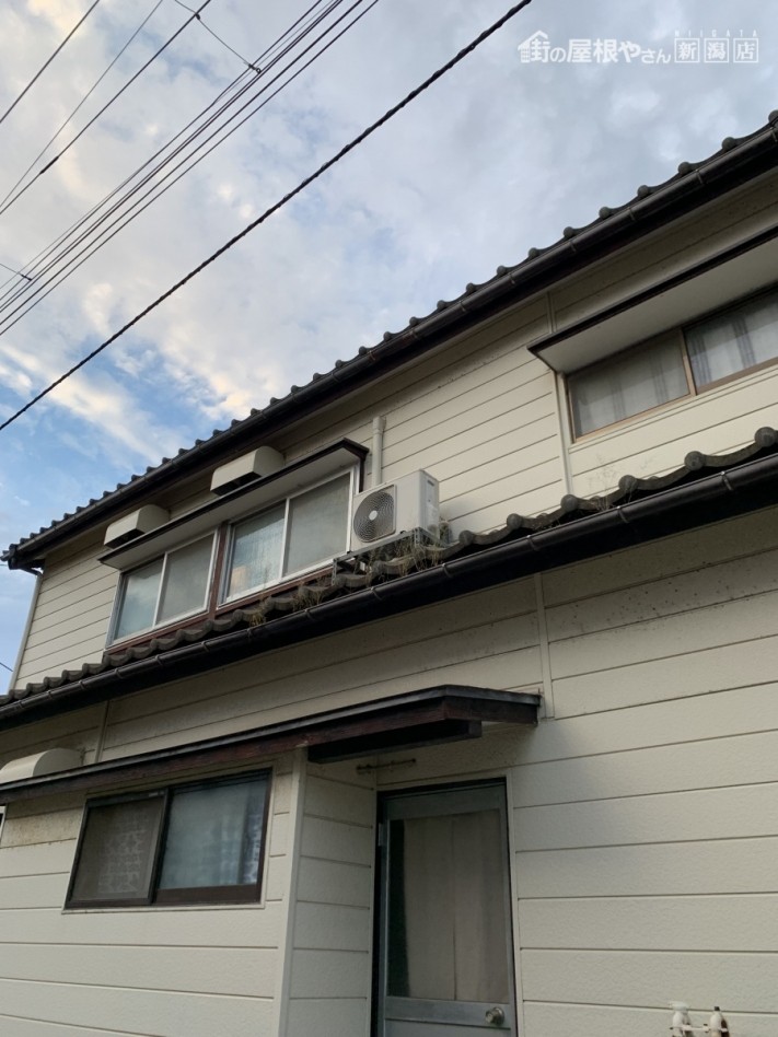新潟市北区にて下屋の軒樋に草が生えていることから現地調査してきました