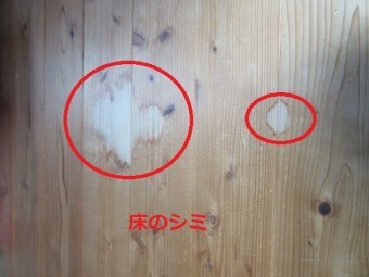 雨漏れ 床の染み