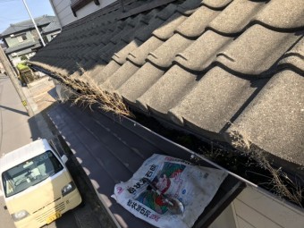 軒樋草取り工事
