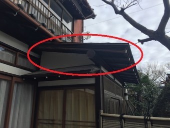 玄関屋根 銅板屋根 剥がれ 横から
