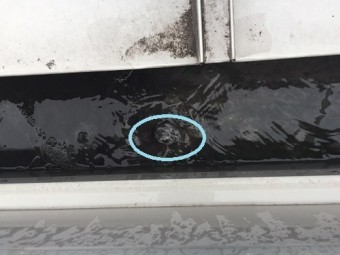 雨樋 ドレン つまり ゴミ