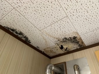 セメント瓦屋根で雨漏れ発生
