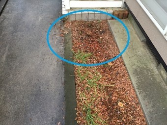 雨樋 水跳ね 雨たれ 花壇