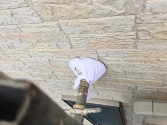 仮設足場 外壁 養生