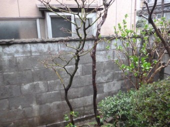 ブロック塀笠木交換 現調