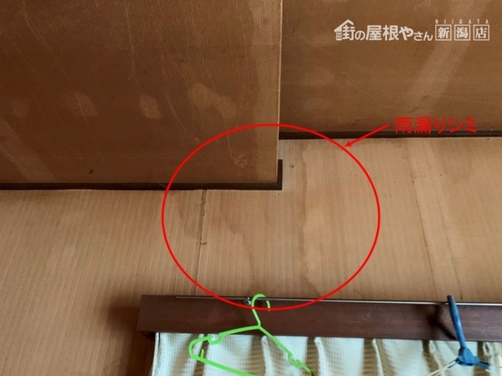雨漏り現地調査