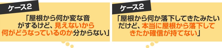 お客様の不安2:「屋根から何か変な音がするけどどうなっているのか分からない」「屋根から何か落下してきたみたいだけど、本当に屋根から落下してきたか確信が持てない」