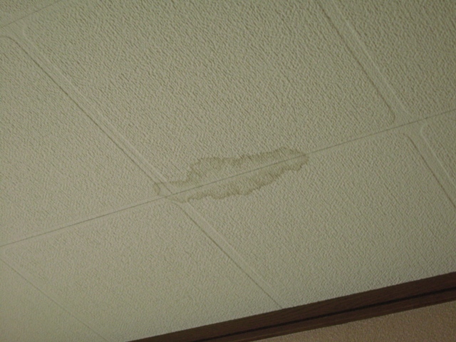 天井仕上げまで達した雨漏り跡