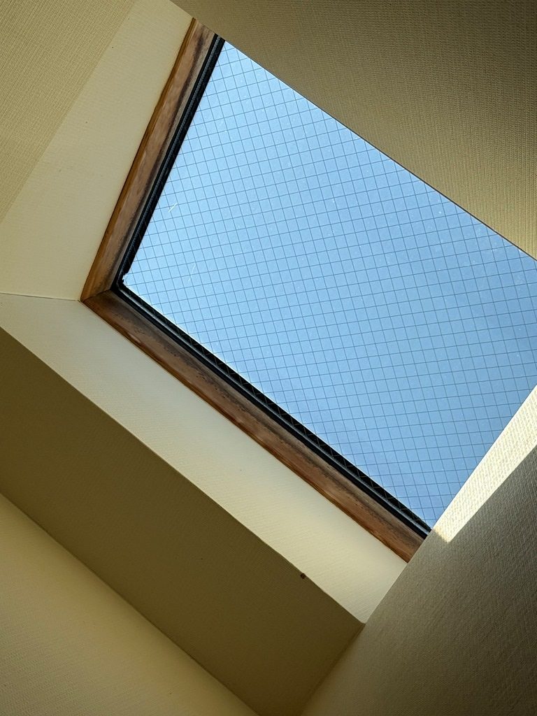 天窓から雨漏れ　現地調査