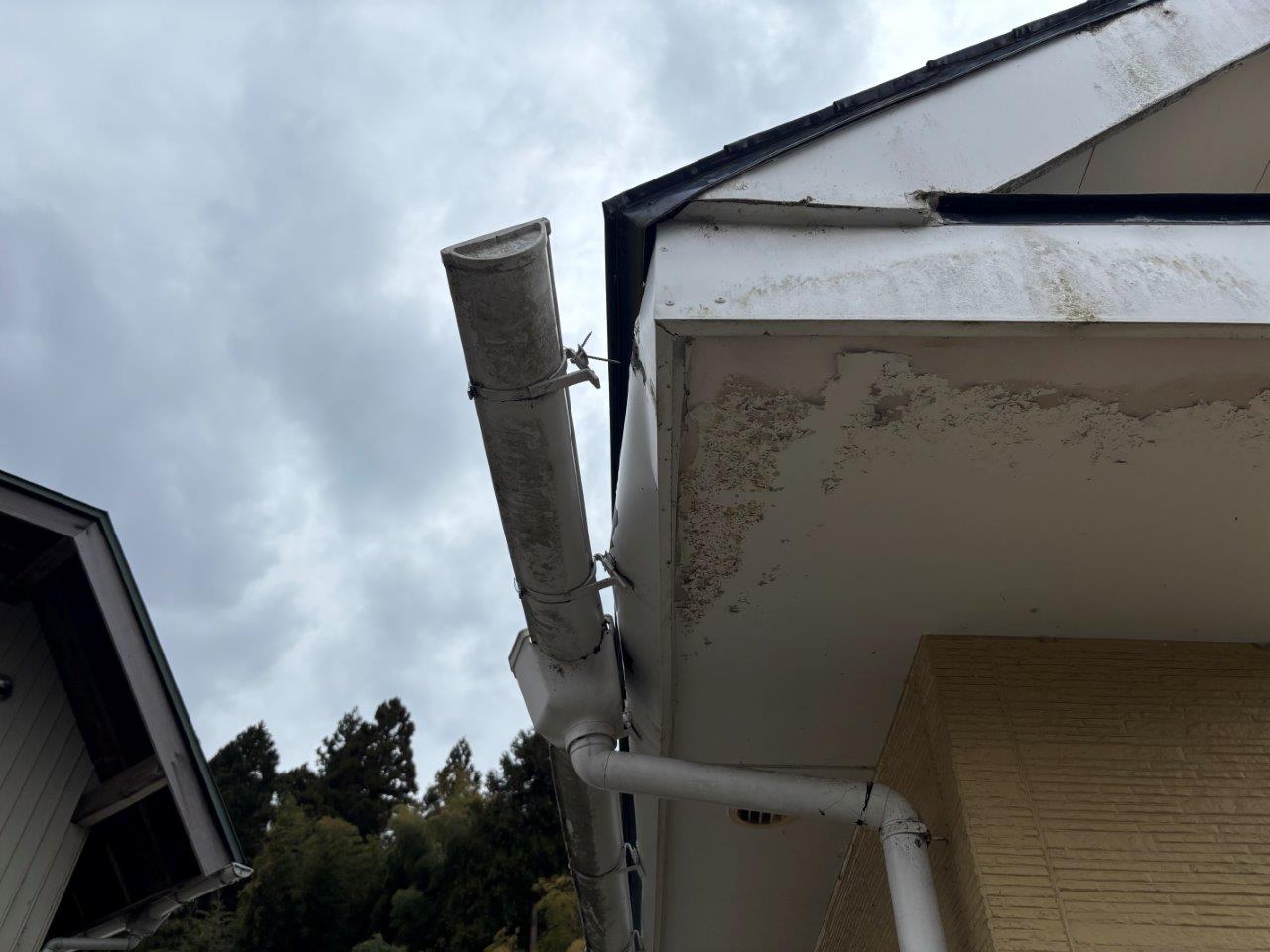 落雪による雨樋と鼻隠しの破損修繕　現地調査