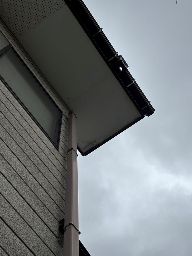 雨樋交換
