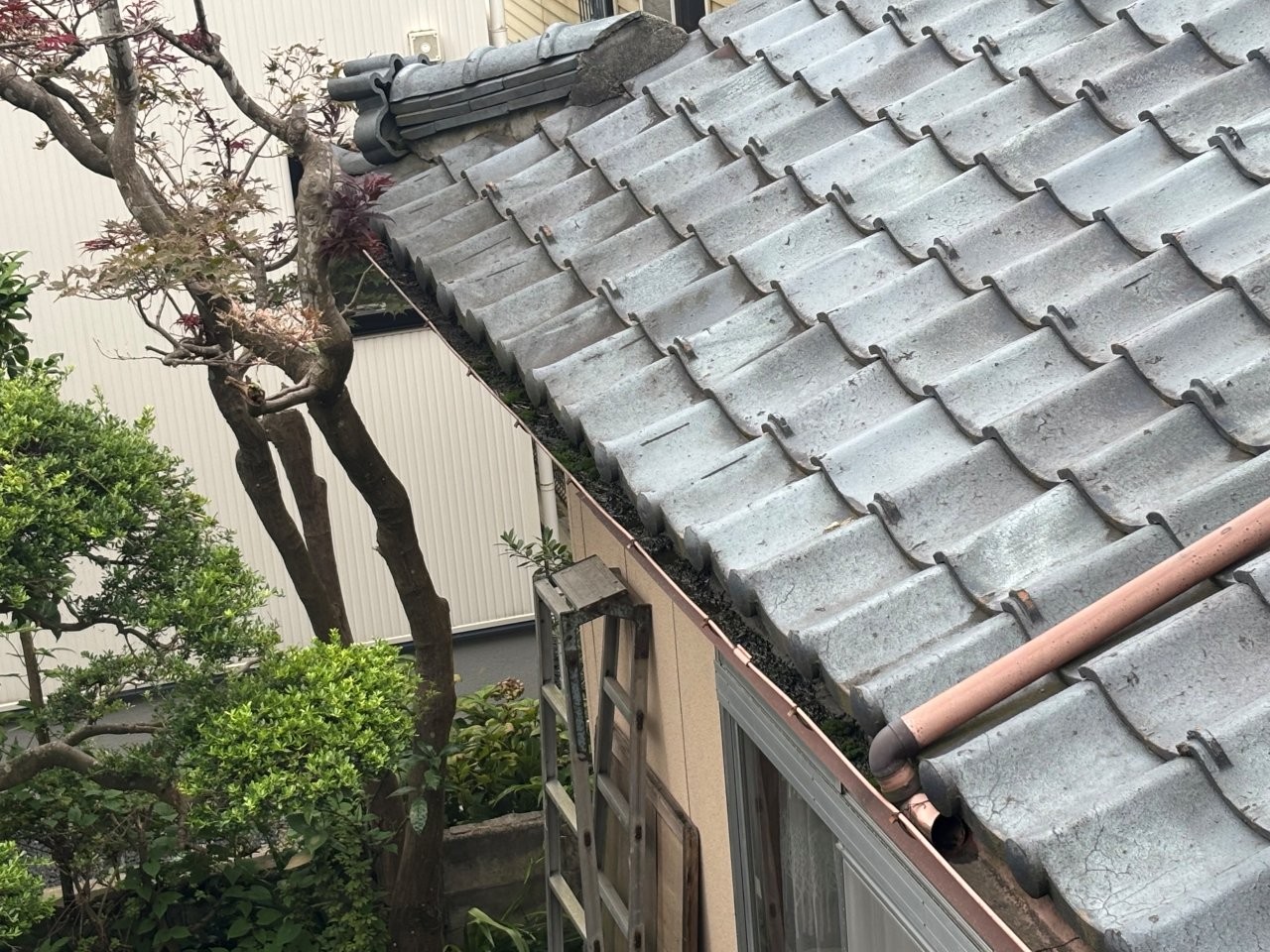 【新潟市秋葉区】雨が降ると軒樋から雨水があふれる！コケや泥の詰まりとハイ樋による排水不良を確認しました