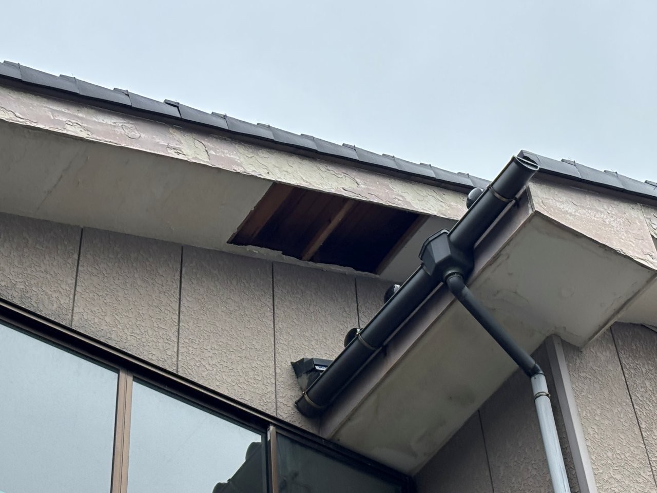 【新潟市中央区】玄関上の軒天が落下し穴も発生！鳥の侵入を防ぐためケイカル板＋板金カバーをご提案しました
