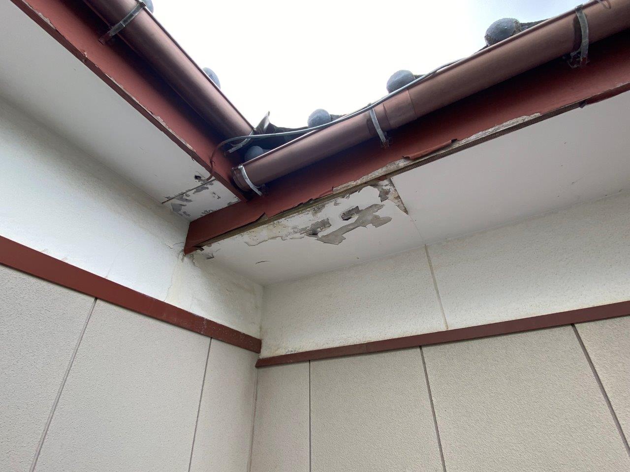 新潟市中央区にて大屋根の軒天張り替えのご相談を頂きました