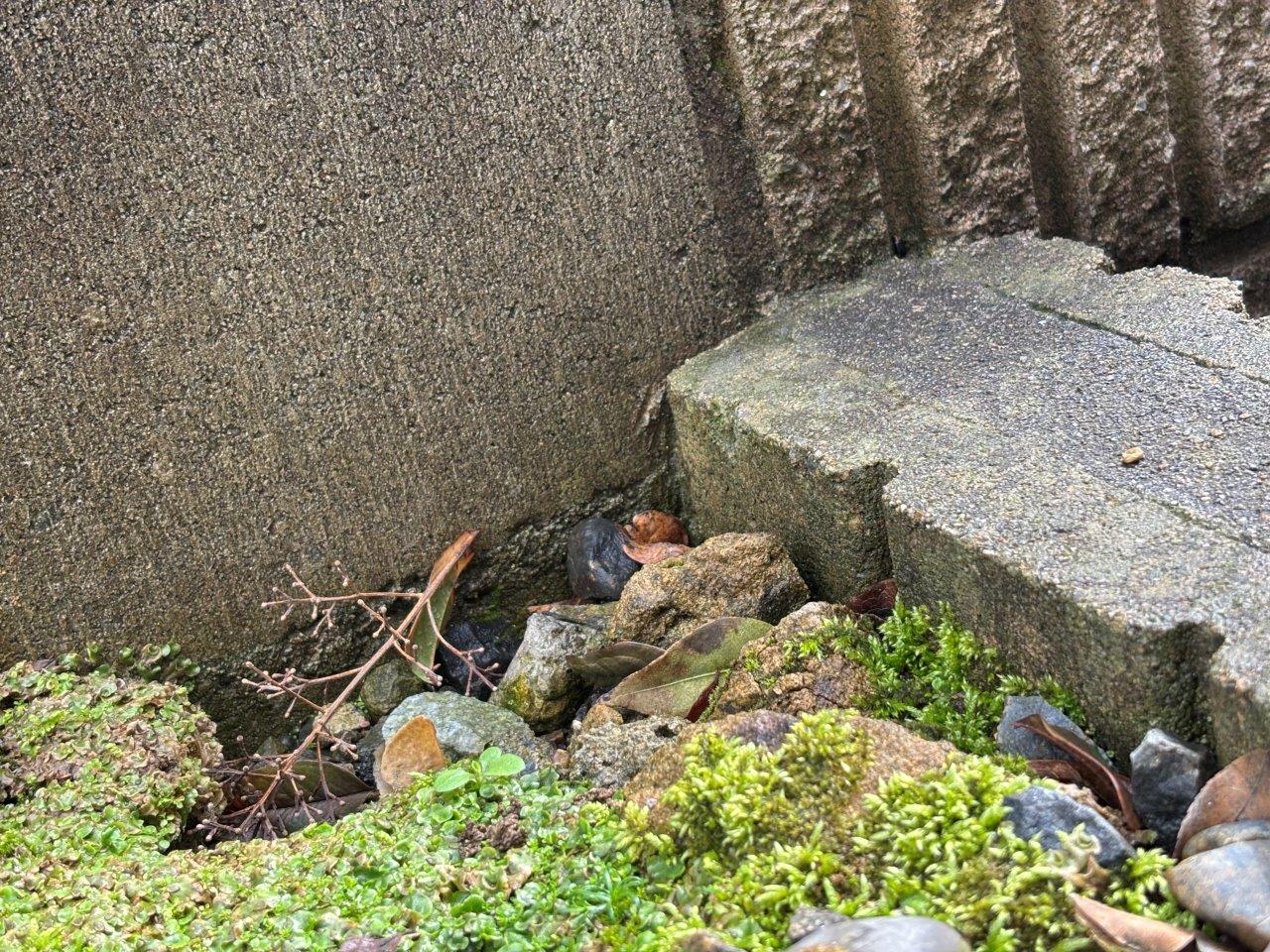 庭部分にタイル敷き　現地調査