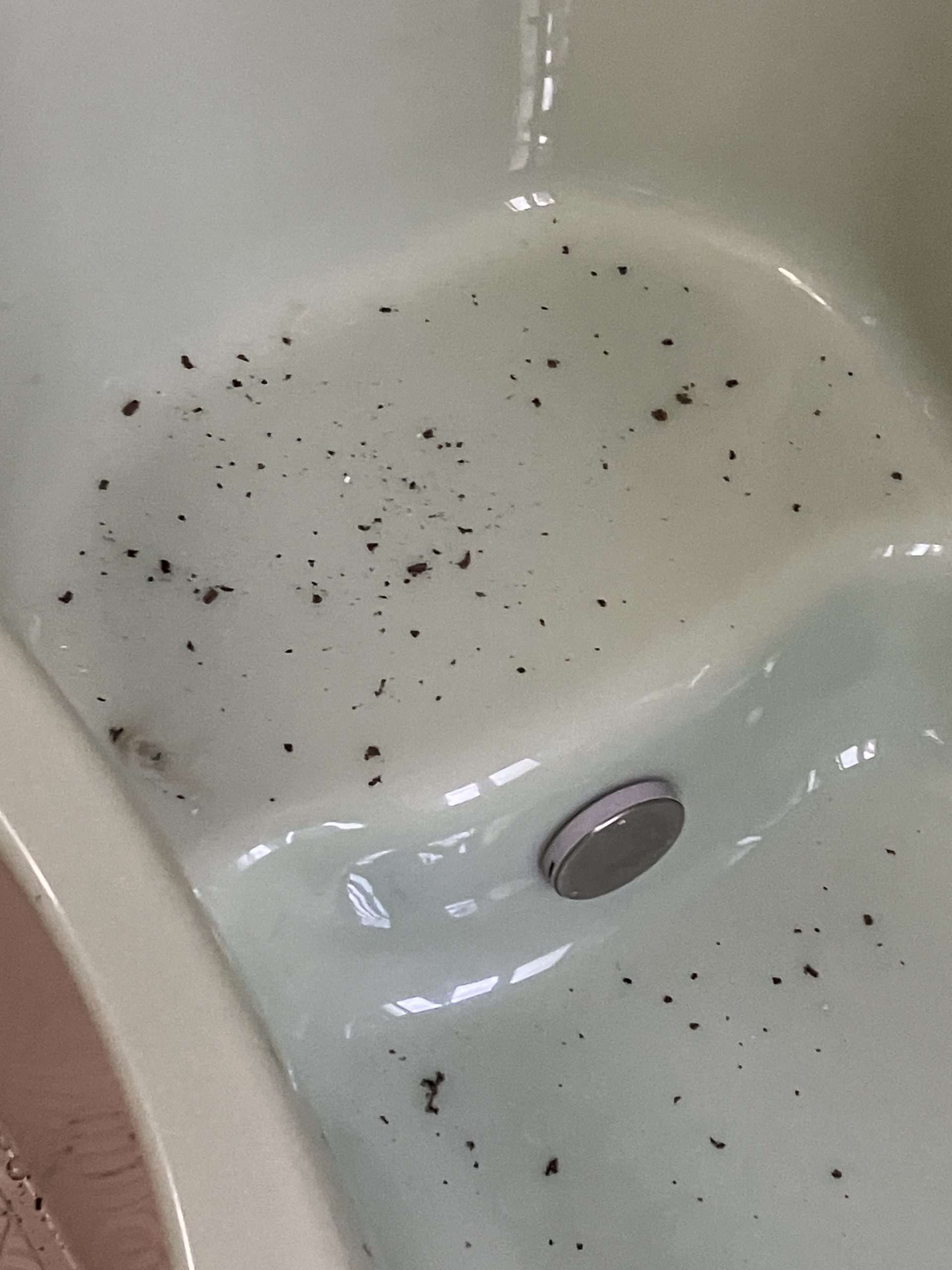 換気扇取り外し時に落下したホコリの確認