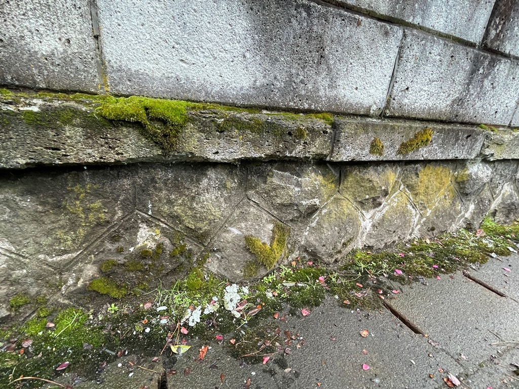 大谷石塀洗浄・塗装